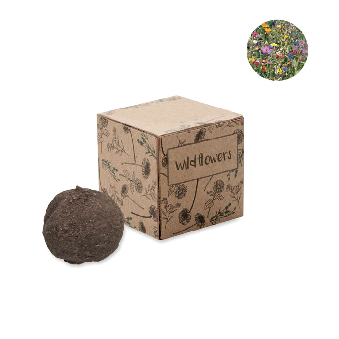 BOMBI – kit de culture de graines sauvage