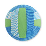 Ballon de volley bleu et vert
