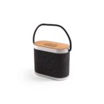 Enceinte portable design avec poignée et finition bois