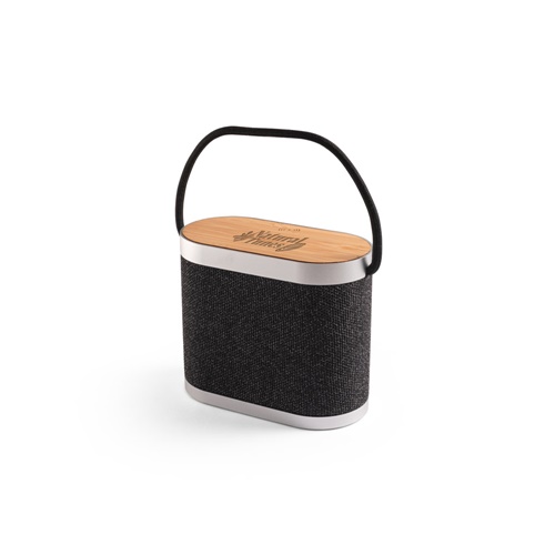 Enceinte portable design avec poignée et finition bois